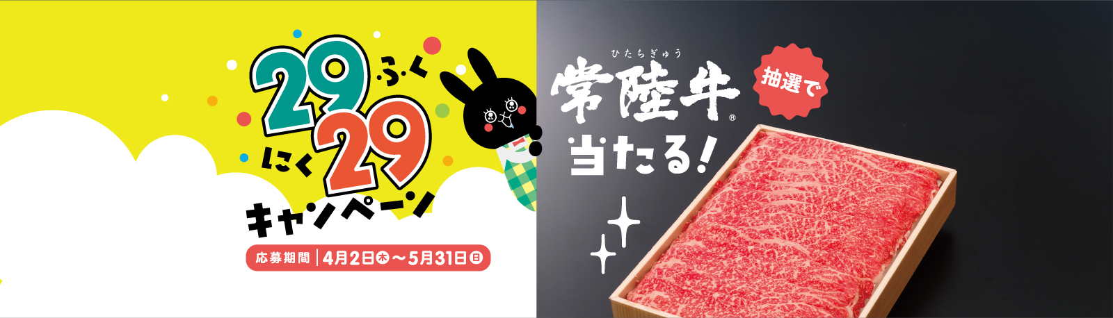 2929�L�����y�[��